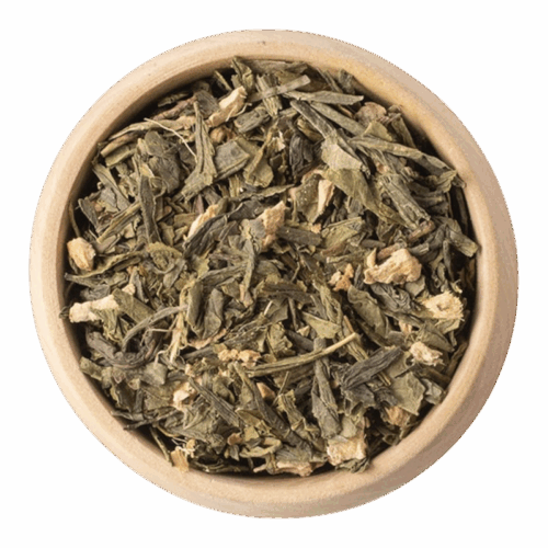 Sencha Gember